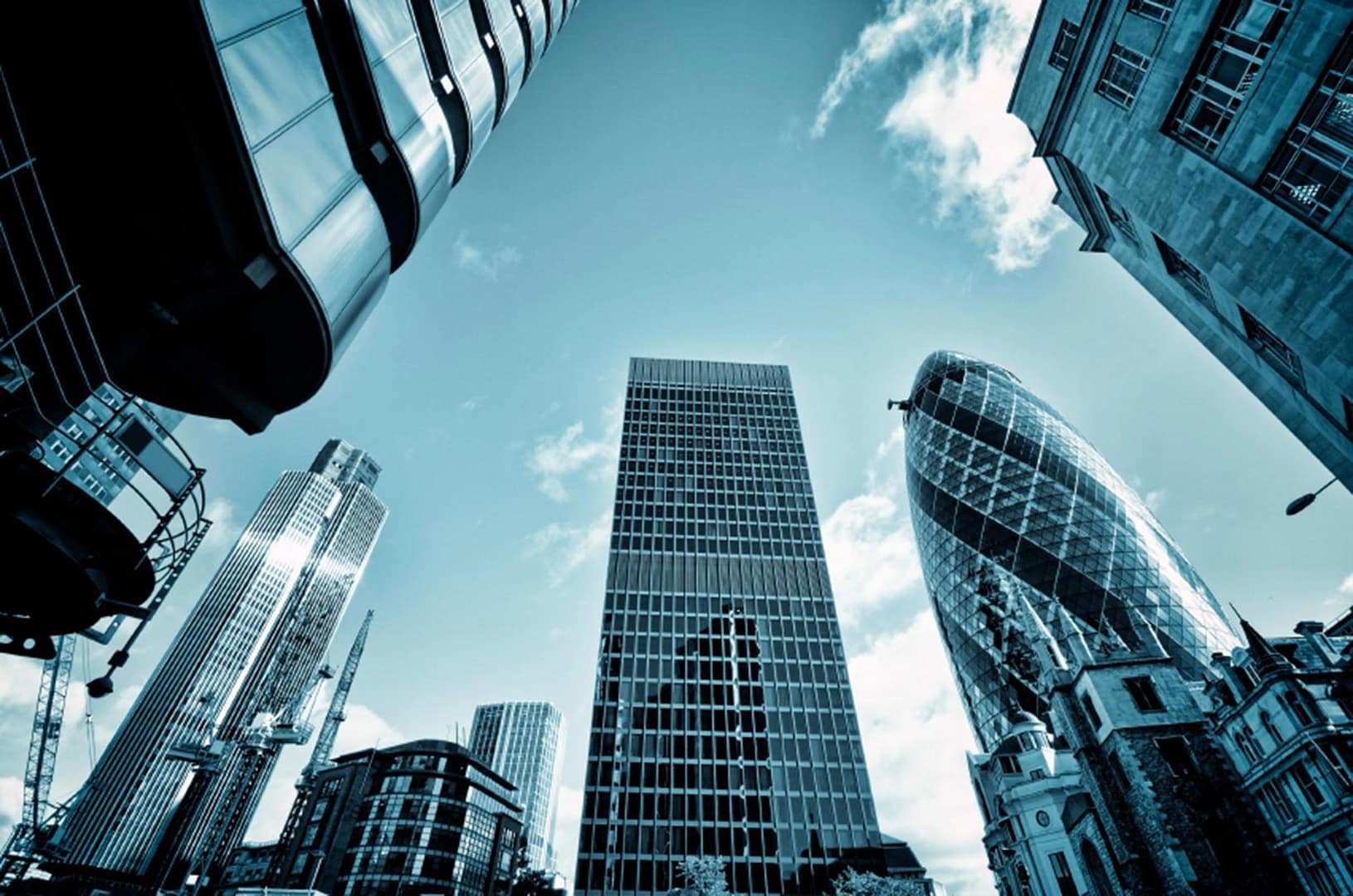 Real Estate Industry